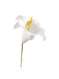 Delicate 5-Inch White Plastic Easter Lily Picks - Set of 20 | Ideal for Easter Decorations, Floral Arrangements, and Crafts, Floral Home by Artificial Flowers