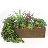 Succulent Arrangement in Planter Box by Floral Home®, Floral Home by Artificial Flowers