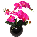 13-Inch Fuchsia Phalaenopsis Orchid Flowers in 5-Inch Round Black Vase