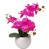 13-Inch Fuchsia Phalaenopsis Orchid Flowers in 5-Inch Round White Vase