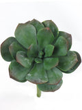 Vibrant 8" Green Aeonium Succulents, 12 Piece Collection - Ideal for Indoor/Outdoor Décor, Garden Projects, and Creative DIY Terrarium Crafting, Floral Home by Artificial Flowers