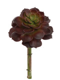 Stunning Set of 12 Aeonium Succulent Plants - 9.5 Inches - Perfect for Home Decor, Indoor Gardening, and Therapeutic Spaces - Vibrant Green Foliage, Floral Home by Artificial Flowers