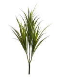 Set of 12 Luxurious 29-inch Dracaena Marginata Plants - Exotic Artificial Indoor Greenery for Elegant Home Decor and Office Spaces, Floral Home by Artificial Flowers