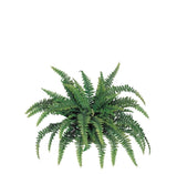 Boston Fern Plant W/ 27 Silk Fronds 28