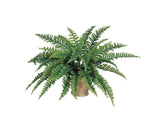 Premium Boston Fern Silk Plant | Luxurious 42 Fronds - 6 Piece | 34