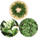 Boxwood Wreath, Indoor Outdoor UV Front Door 30"  ArtificialFlowers   