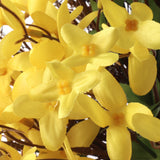 Artificial  Forsythia Wreath on Grapevine Ring-16" Forsythia Wreath ArtificialFlowers   