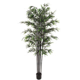 Artificial 6' Black Bamboo Tree - Realistic Greenery for Home and Office Decor, Floral Home by Artificial Flowers