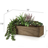 Boxed Succulent Assortment 6 Styles 12" x 3" x 4"  ArtificialFlowers   