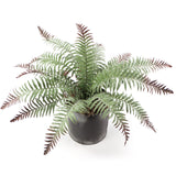 Artificial All Weather Boston Fern (15 Fronds)-22" Boston Fern ArtificialFlowers   