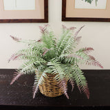 Artificial All Weather Boston Fern (15 Fronds)-22" Boston Fern ArtificialFlowers   