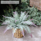 Artificial All Weather Boston Fern (15 Fronds)-22" Boston Fern ArtificialFlowers   