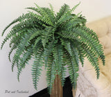 Artificial Boston Fern Plant - 48" (60 Fronds) Boston Fern ArtificialFlowers   