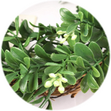 Boxwood Wreath, Indoor Outdoor UV Front Door 10"  ArtificialFlowers   