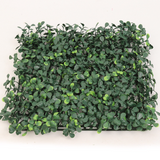 Boxwood Square - 10