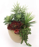 Artificial Succulent Assortment 6 Styles Succulent artificialflowersdotcom   