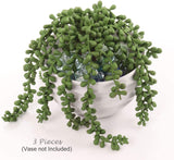 Artificial Succulent String of Pearls Pack of 3, Floral Home by Artificial Flowers